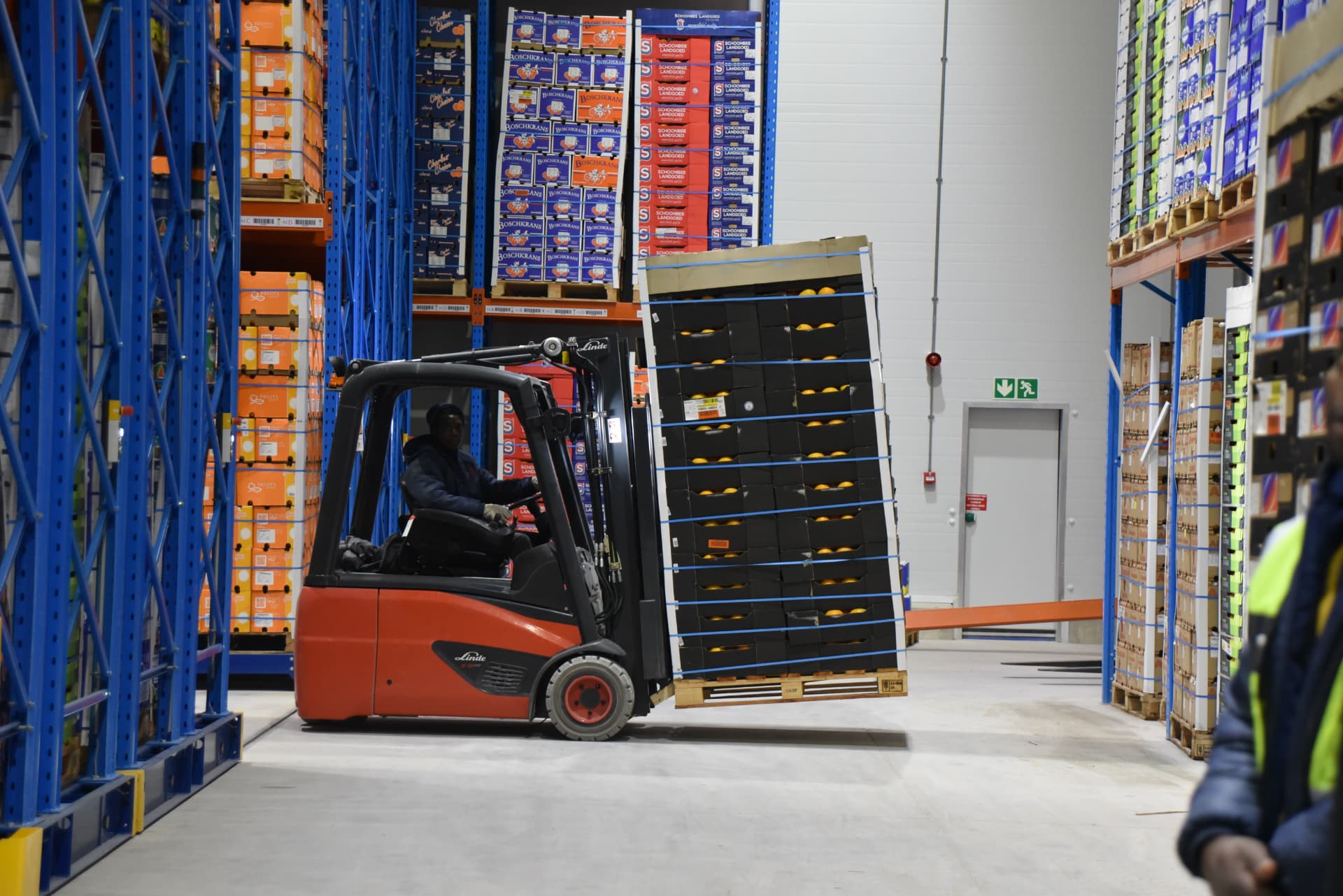 A forklift moving palletised fruit inside a cold store.