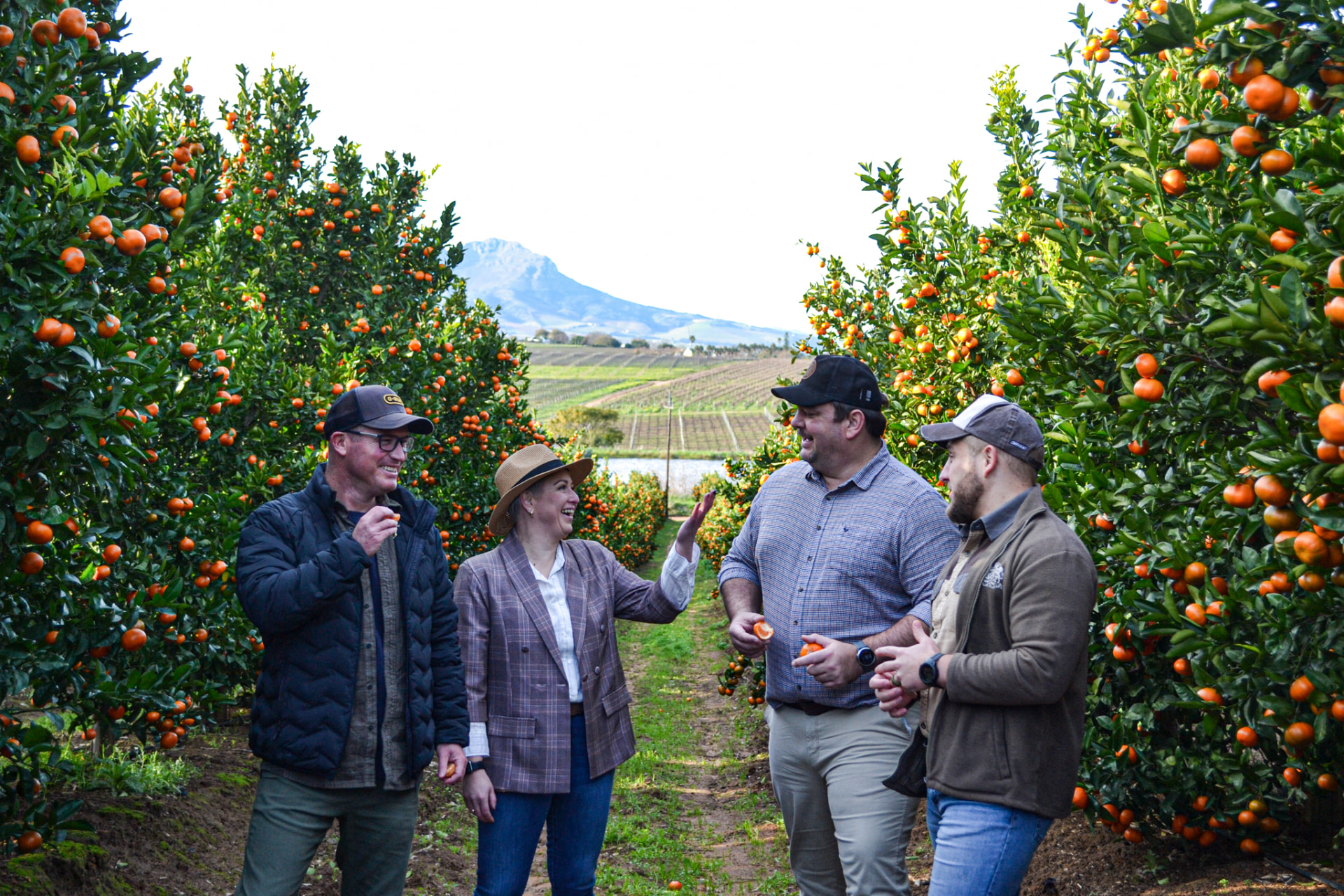 GoReefers team members talking with growers in a citrus orchard.